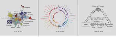 The research on brain network theory varies from the modular development (left),  the phenotype in psychosis(mid), and the application to cognition (right).