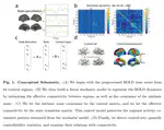 Controllability analysis of functional brain networks