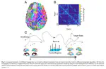 Optimal trajectories of brain state transitions