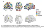 Controllability of Functional Brain Networks and Its Clinical Significance in First-Episode Schizophrenia