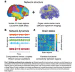 Stimulation-based control of dynamic brain networks