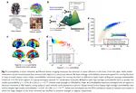 Developmental increases in white matter network controllability support a growing diversity of brain dynamics