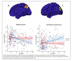 Age-associated network controllability changes in first episode drug-naive schizophrenia